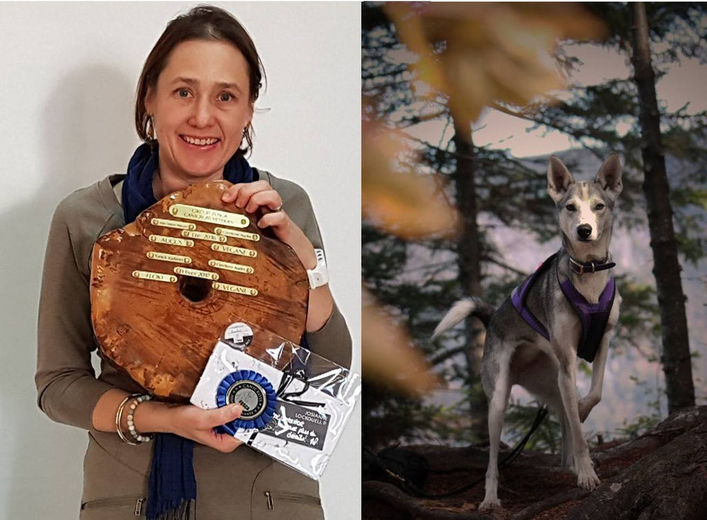 Capsule 9 – Joyeuses Fêtes!