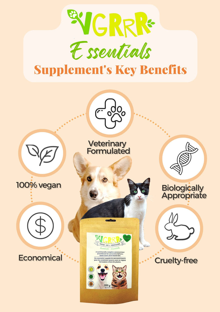 Sustainability with VGRRR Essentials: Nurturing Your Pet, Nurturing the Planet