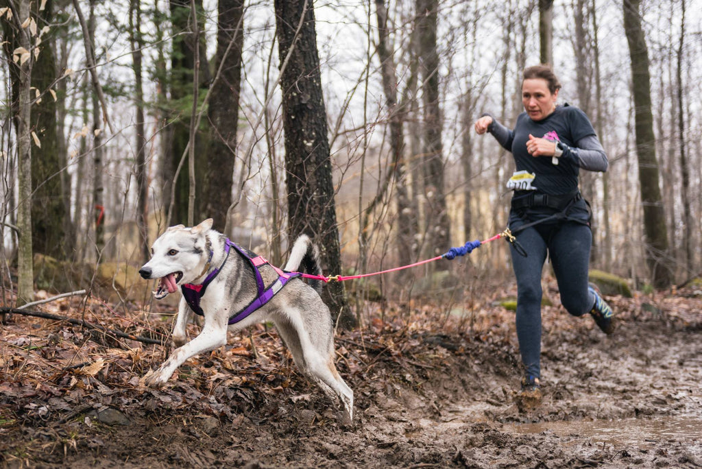 Capsule 4 – Les protéines par Cendrine Audet