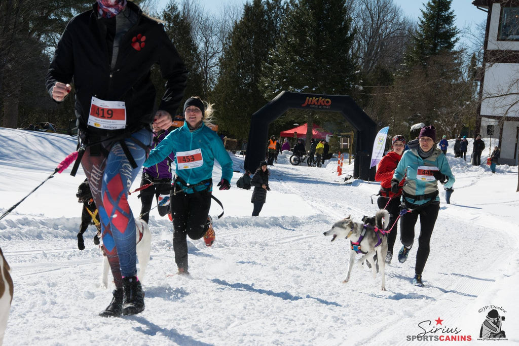Capsule 3: Un parcours dans la neige molle
