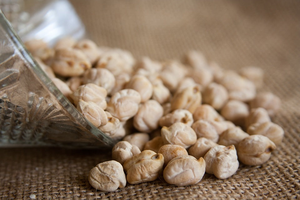 T-V-Protein and Chickpea Moist Food Recipe for Cats