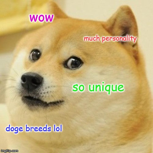 Understanding your Doggo: A Guide to Canine Personalities