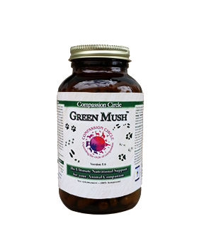 Green Mush™ - The Ultimate Superfood