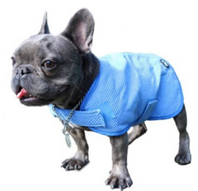 Cooling Vest for Dogs