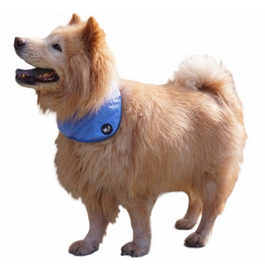 Cooling Bandana for Dogs